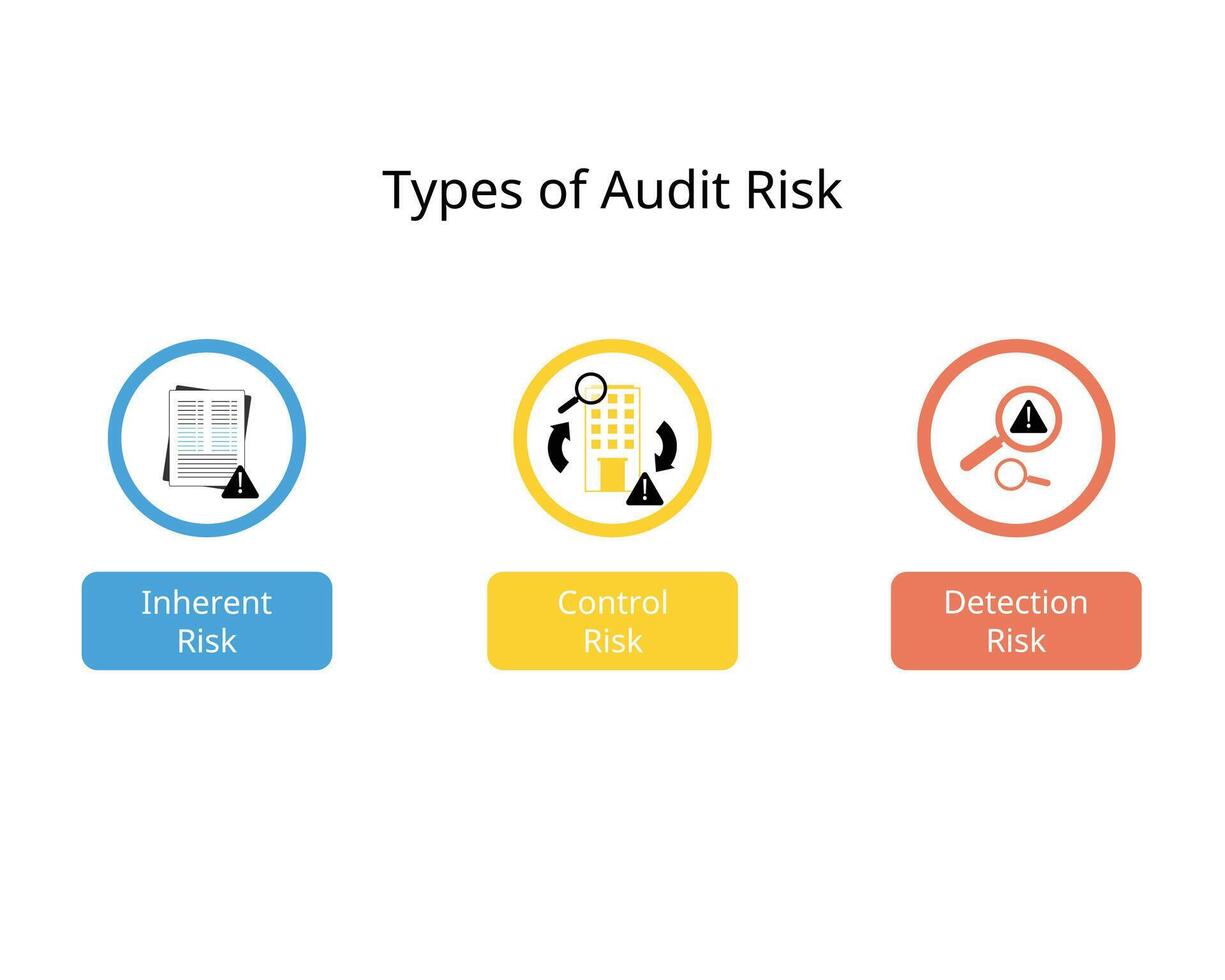 Type of audit risk for Inherent Risk, control risk, detection risk vector