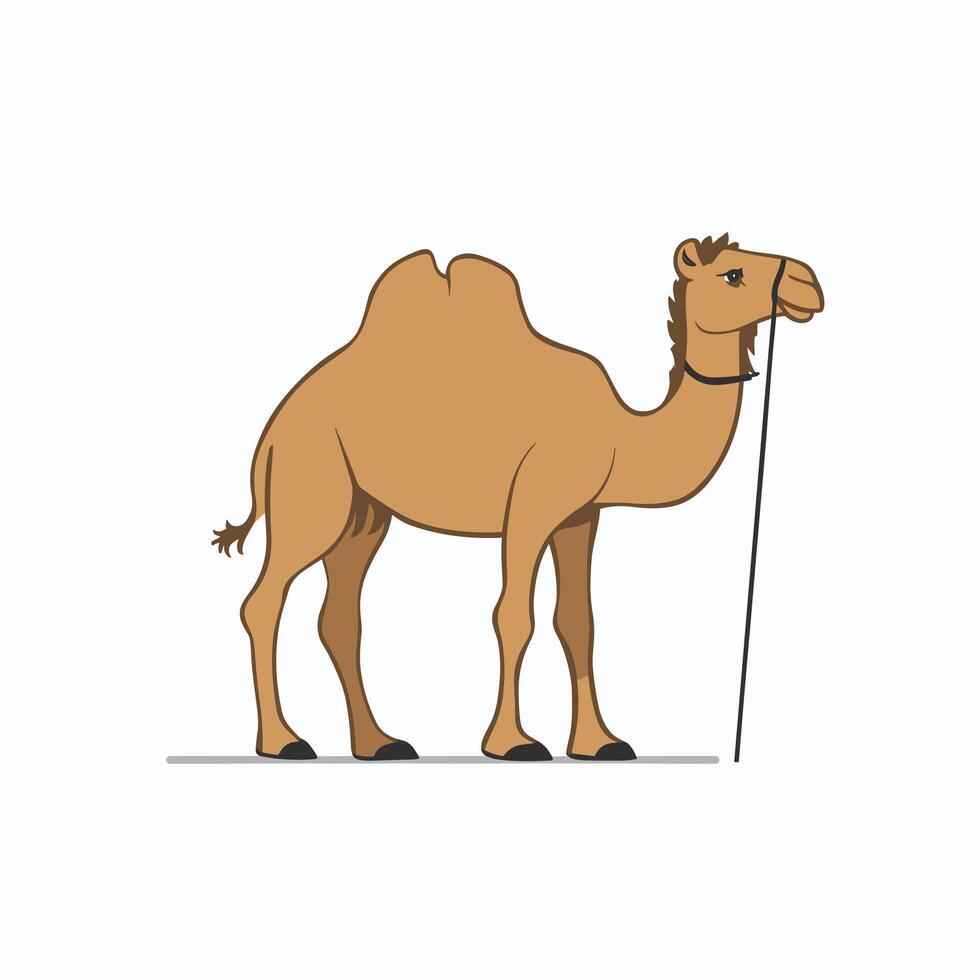 Cartoon camel isolated on white background vector