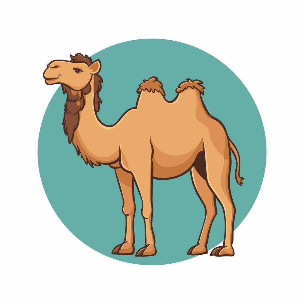 Cartoon camel isolated on white background vector
