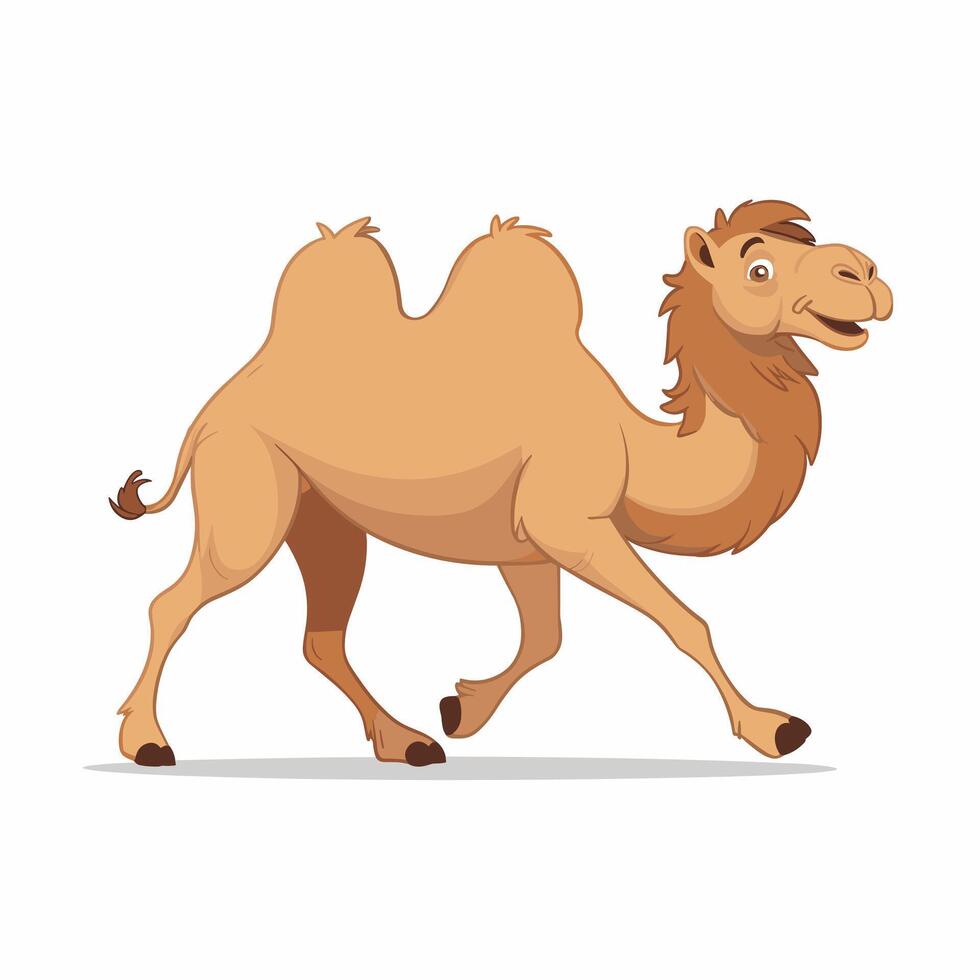 Cartoon camel isolated on white background vector