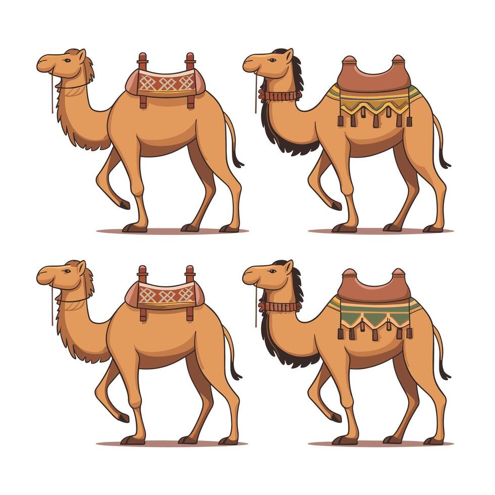 Cartoon camel isolated on white background vector