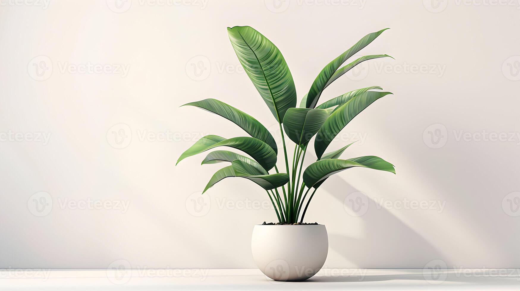 3d Flat cartoon style as Office plant isolated on white background concept as A stylish office plant isolated on a white background symbolizing a fresh workspace productivity and a photo
