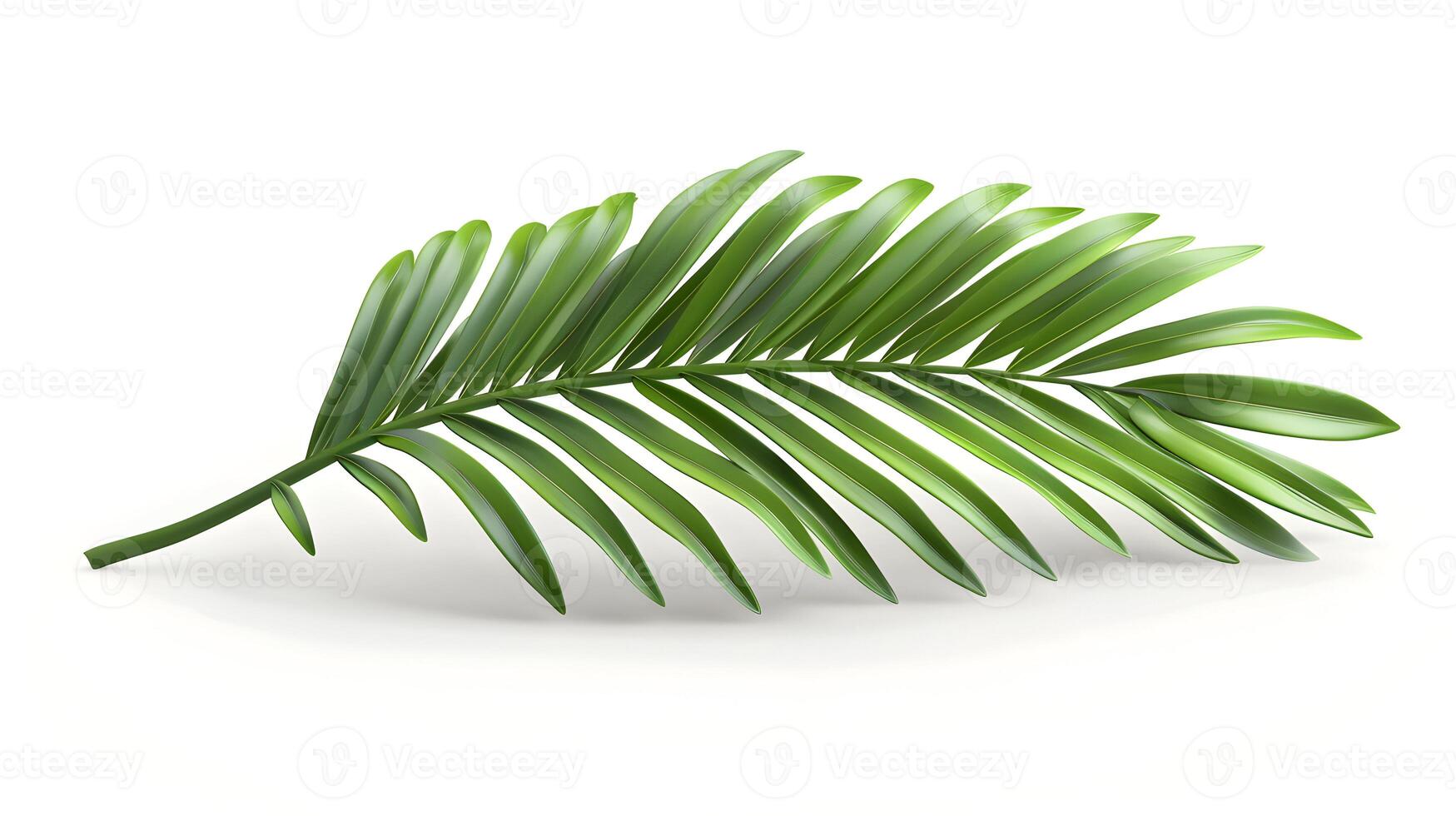 3d Flat cartoon style as Palm frond isolated on white background concept as A tropical palm frond isolated on a white background showcasing its long slender structure and vibrant g photo