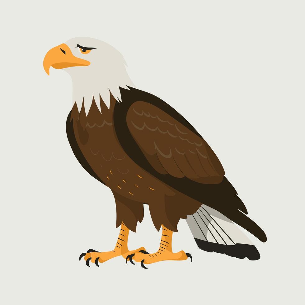 Eagle bird isolated flat illustration vector