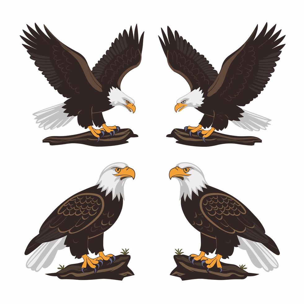 Eagle bird isolated flat illustration vector