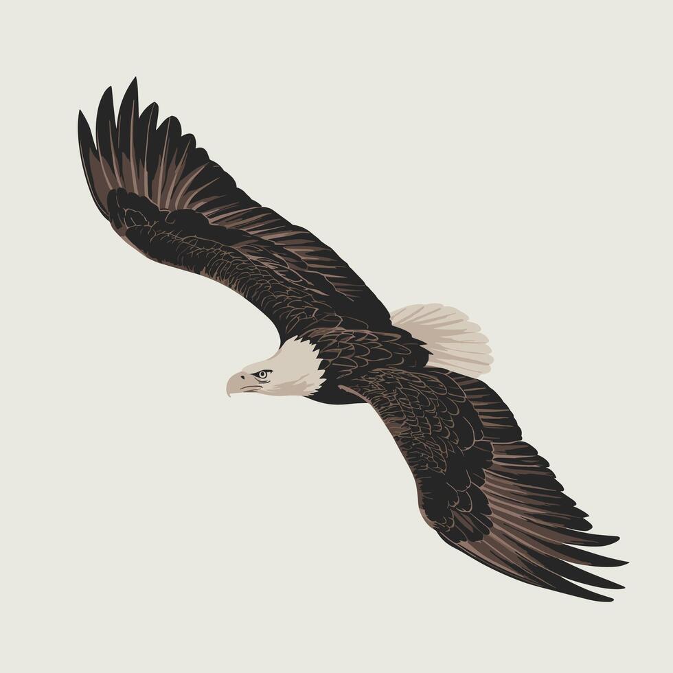 Eagle bird isolated flat illustration vector