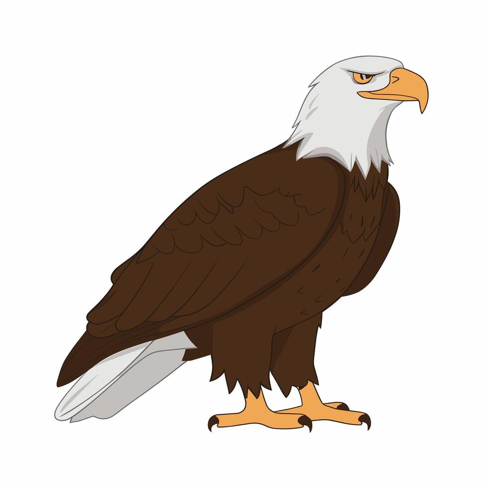 Eagle bird isolated flat illustration vector