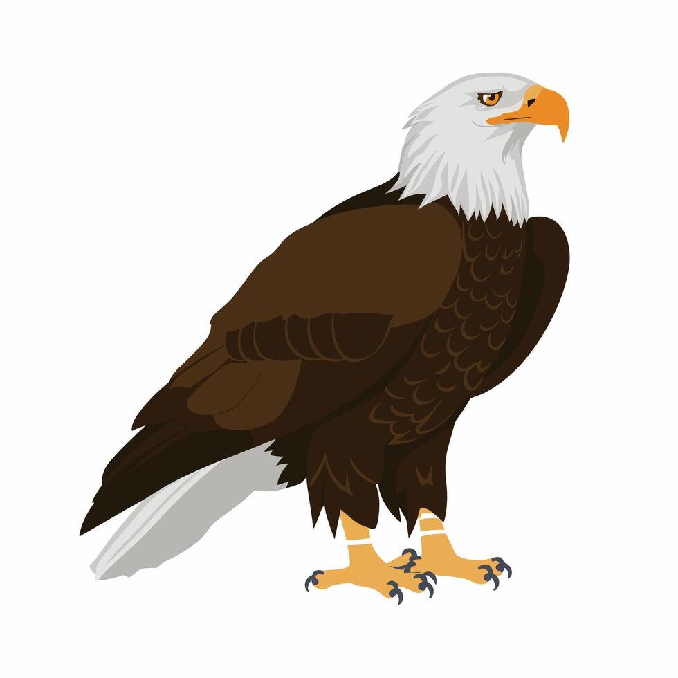 Eagle bird isolated flat illustration vector