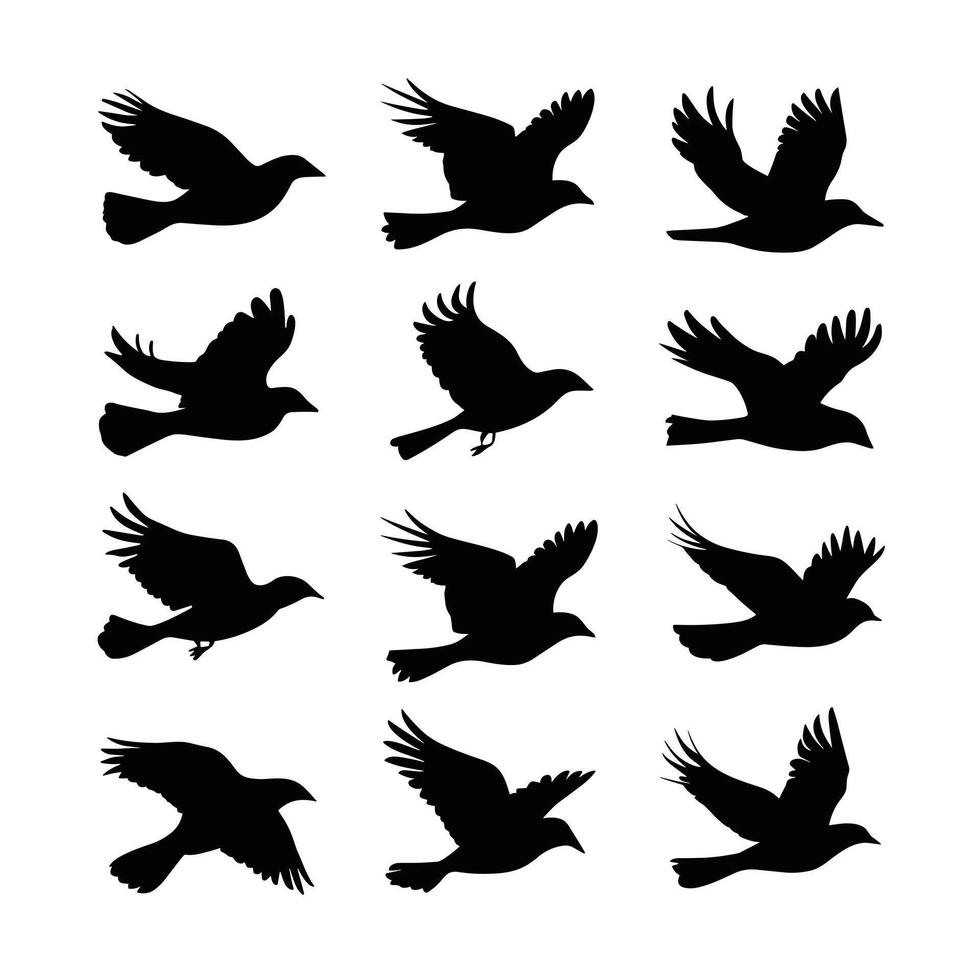 illustration of a falcon. birds isolated on a white background. vector