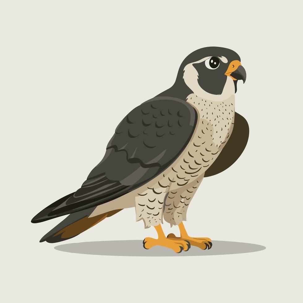 illustration of a falcon. birds isolated on a white background. vector