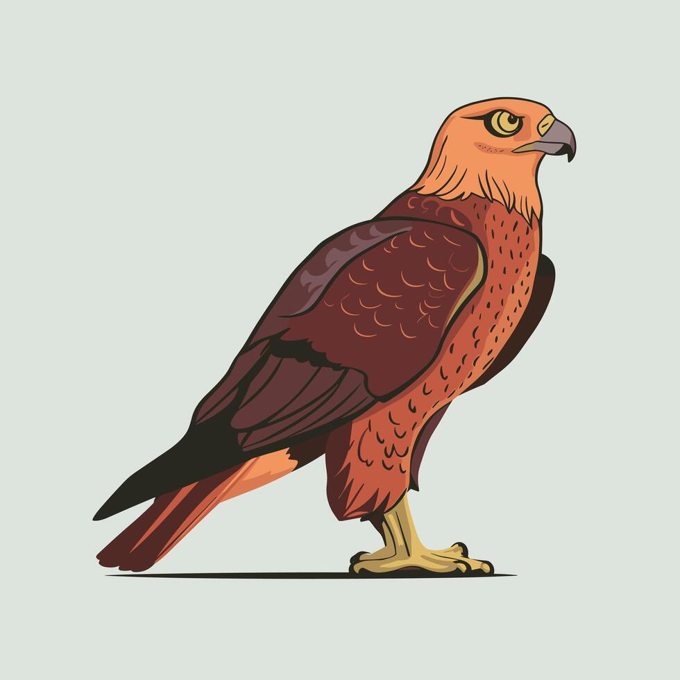 illustration of a falcon. birds isolated on a white background. vector