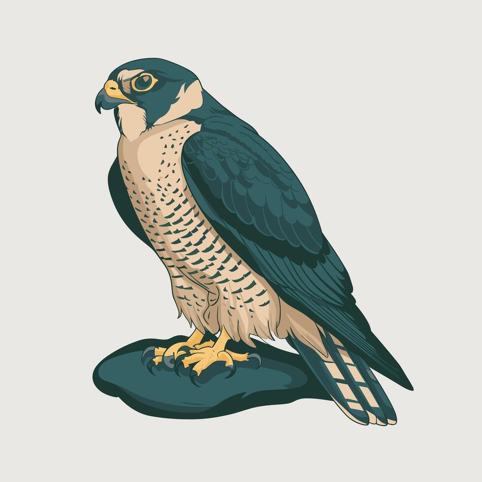 illustration of a falcon. birds isolated on a white background. vector