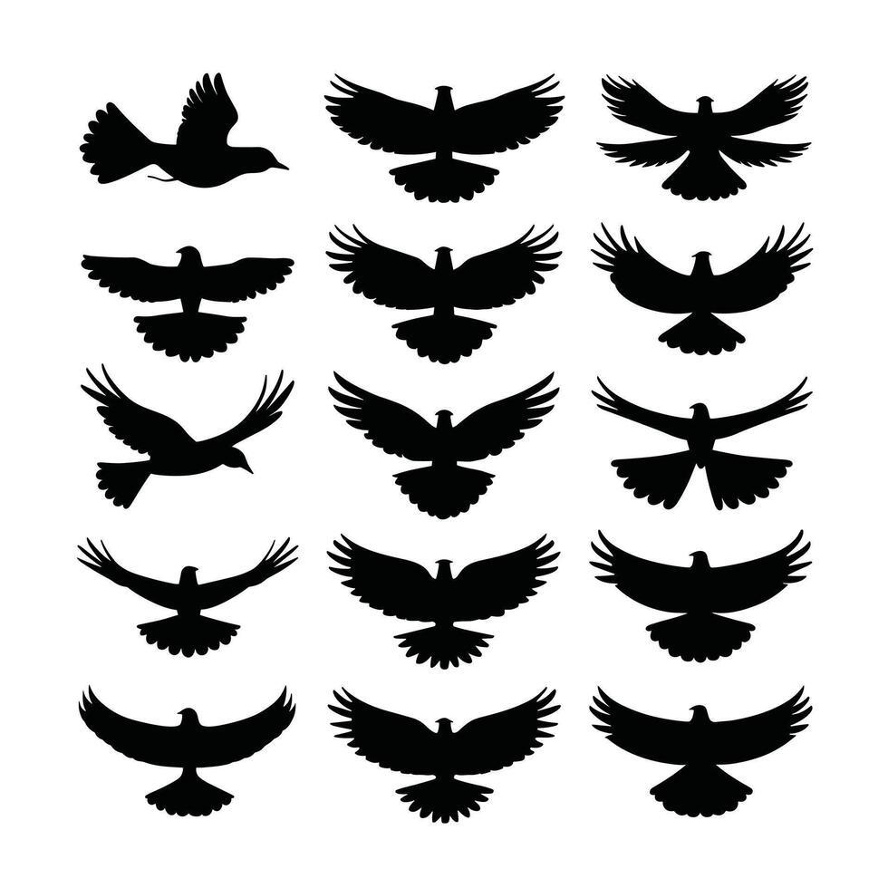 illustration of a falcon. birds isolated on a white background. vector