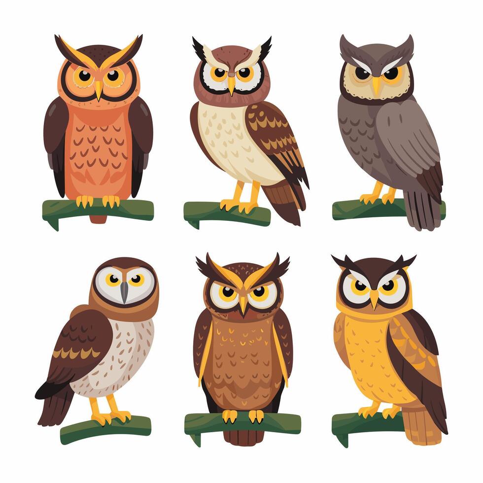 Cute cartoon owl funny animal. illustration. vector