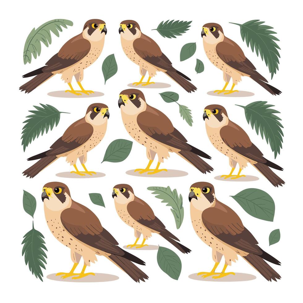 illustration of a falcon. birds isolated on a white background. vector