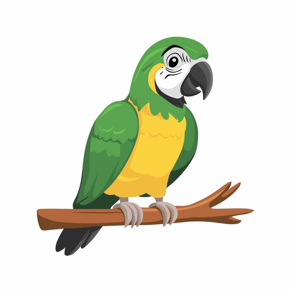 Set of Cute Parrot cartoon collection, isolated on white background vector