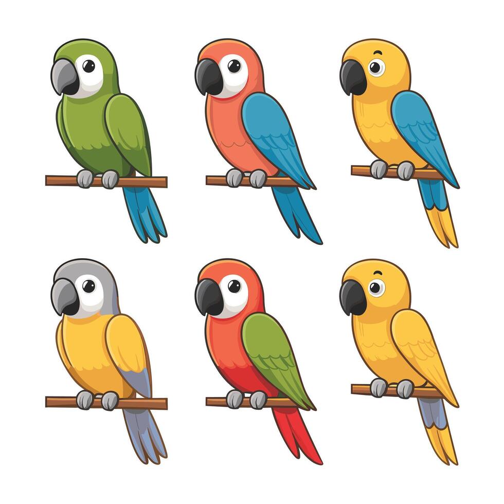 Set of Cute Parrot cartoon collection, isolated on white background vector