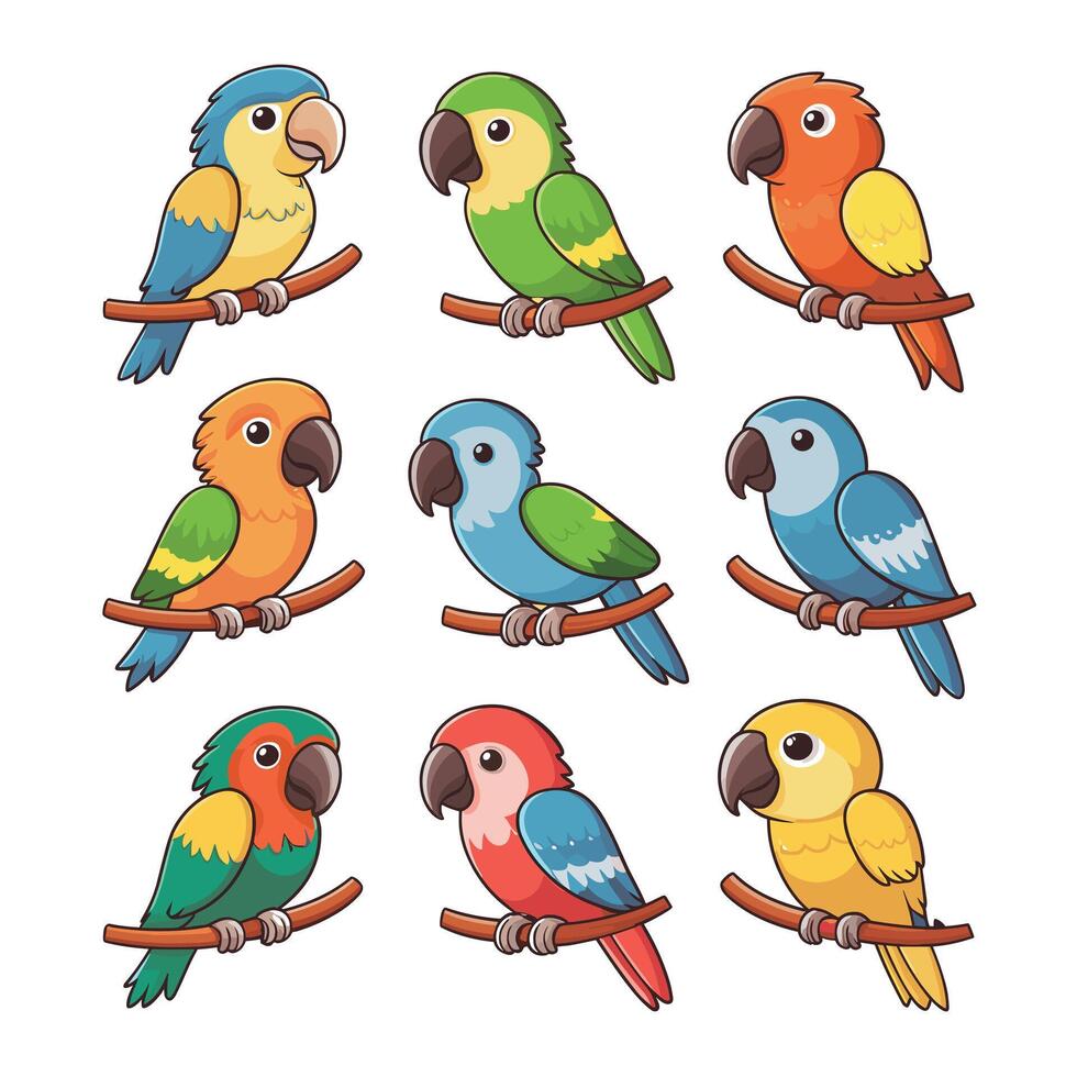 Set of Cute Parrot cartoon collection, isolated on white background vector