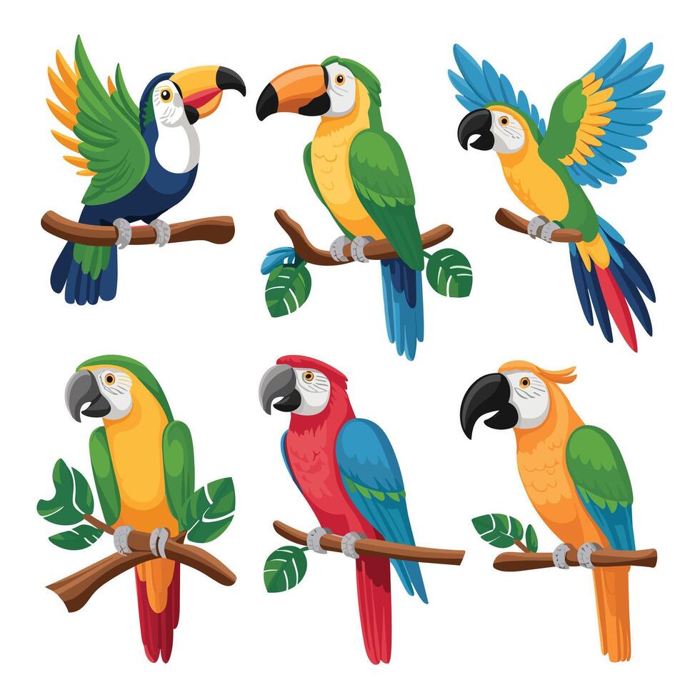 Set of Cute Parrot cartoon collection, isolated on white background vector