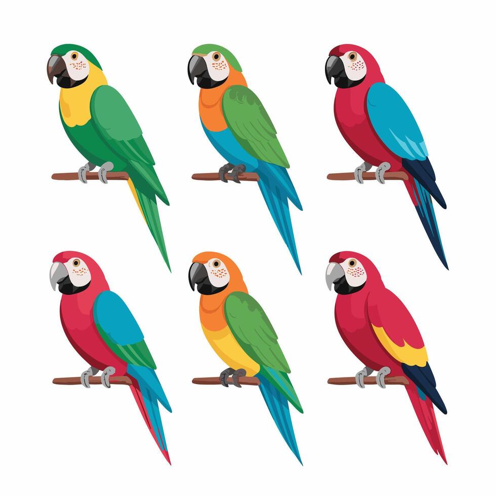 Set of Cute Parrot cartoon collection, isolated on white background vector