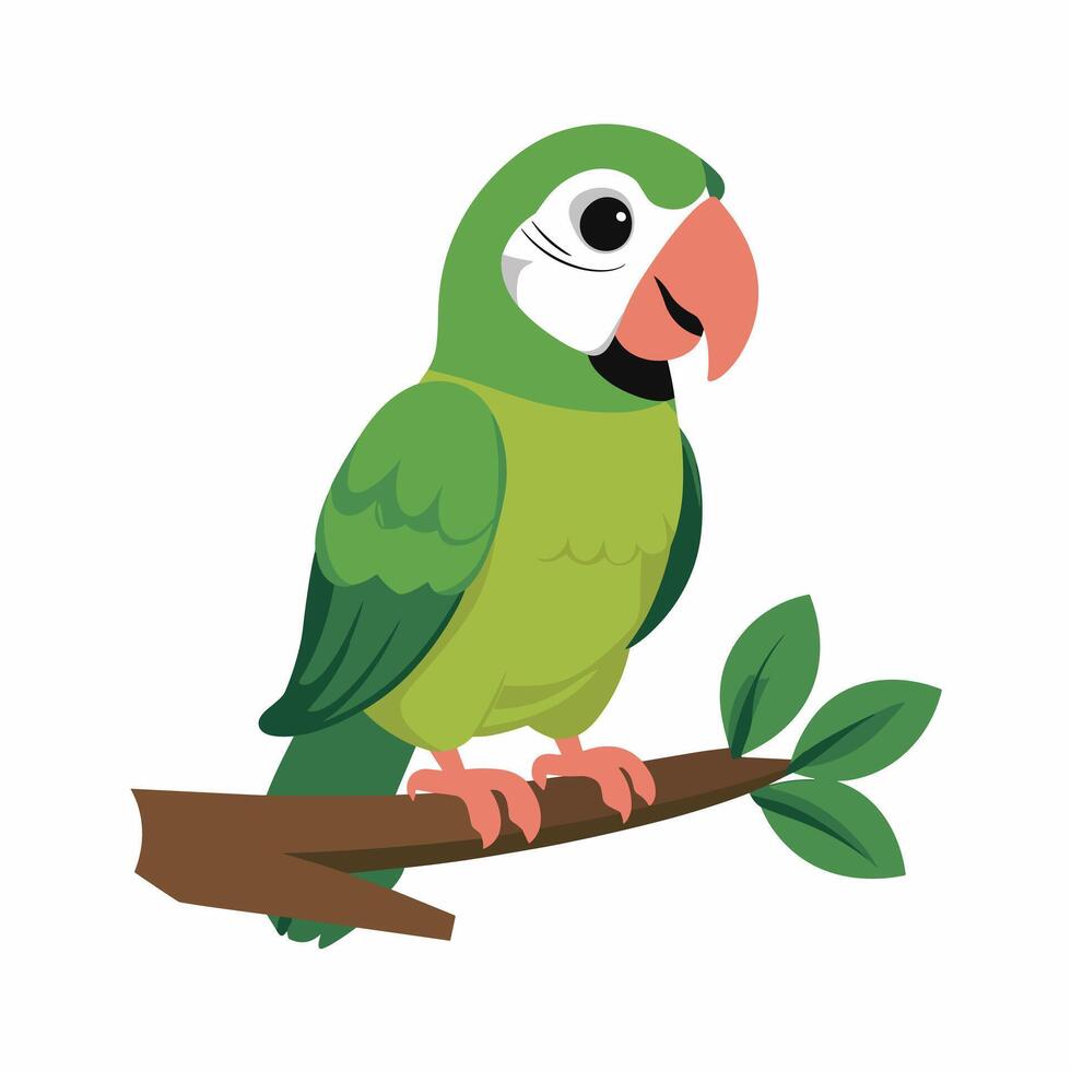 Set of Cute Parrot cartoon collection, isolated on white background vector