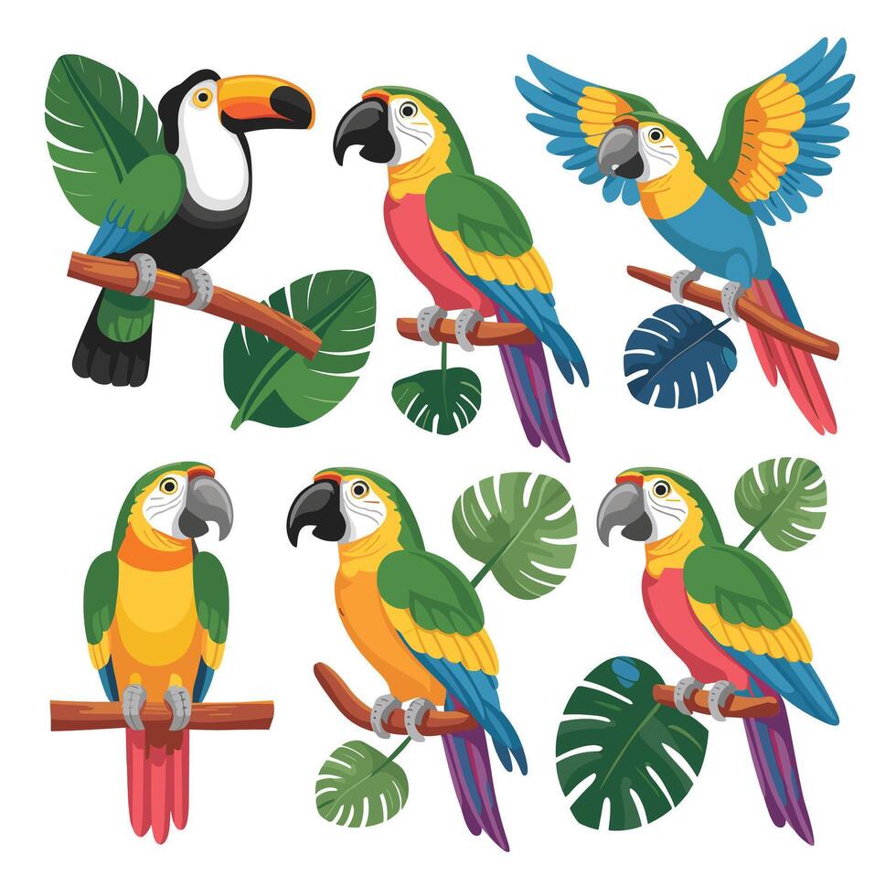 Set of Cute Parrot cartoon collection, isolated on white background vector