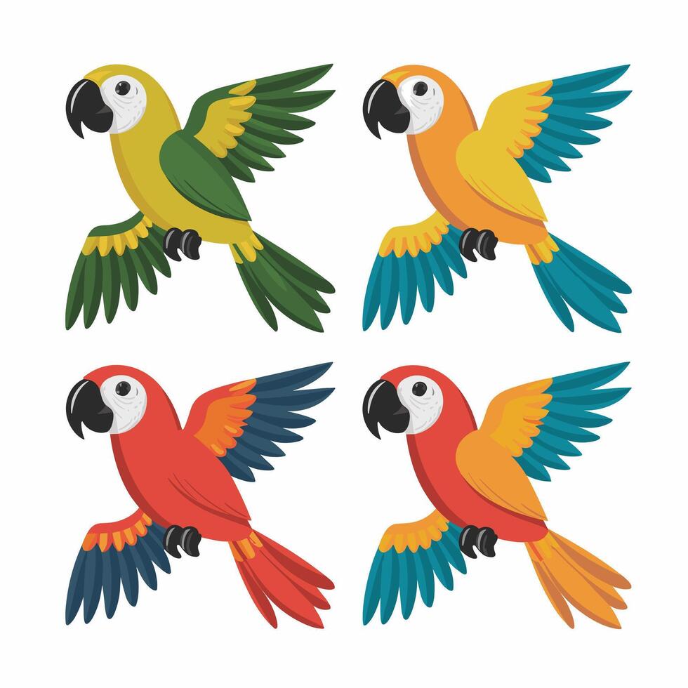 Set of Cute Parrot cartoon collection, isolated on white background vector