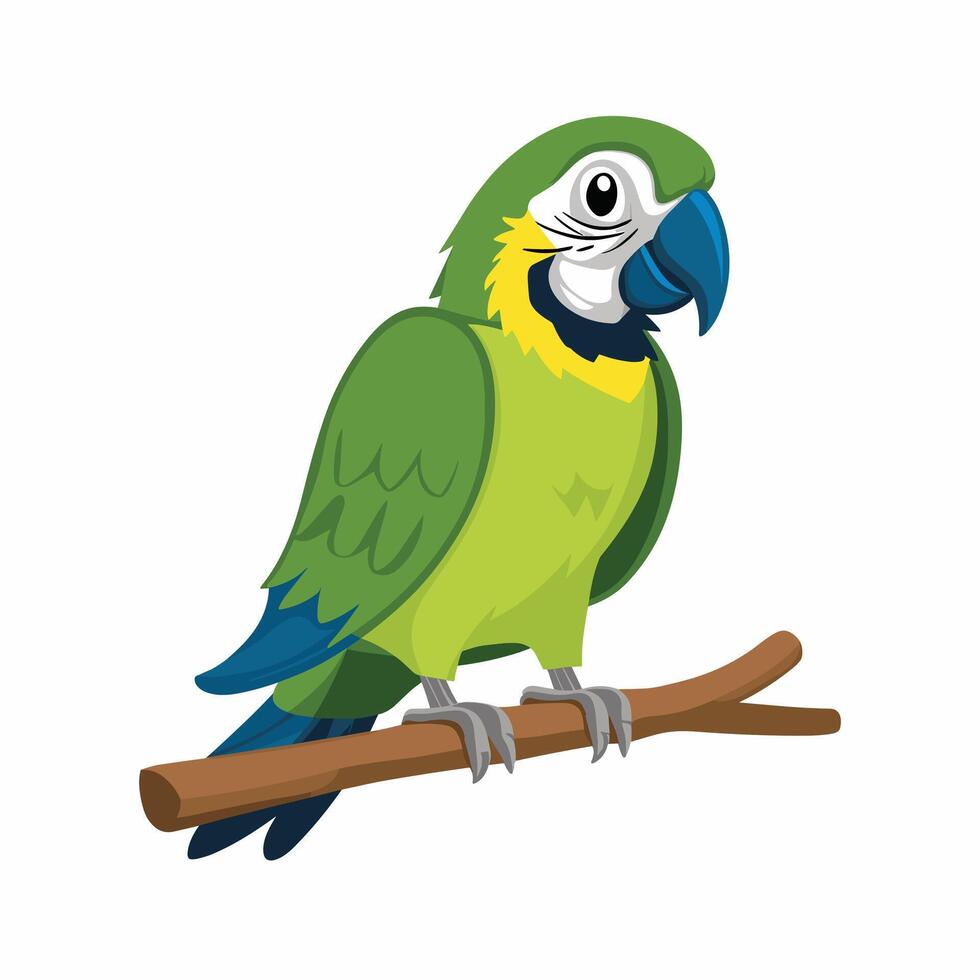 Set of Cute Parrot cartoon collection, isolated on white background vector