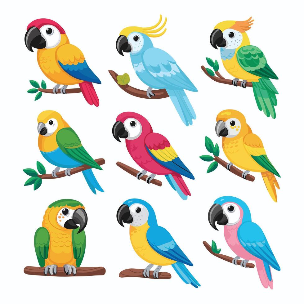 Set of Cute Parrot cartoon collection, isolated on white background vector
