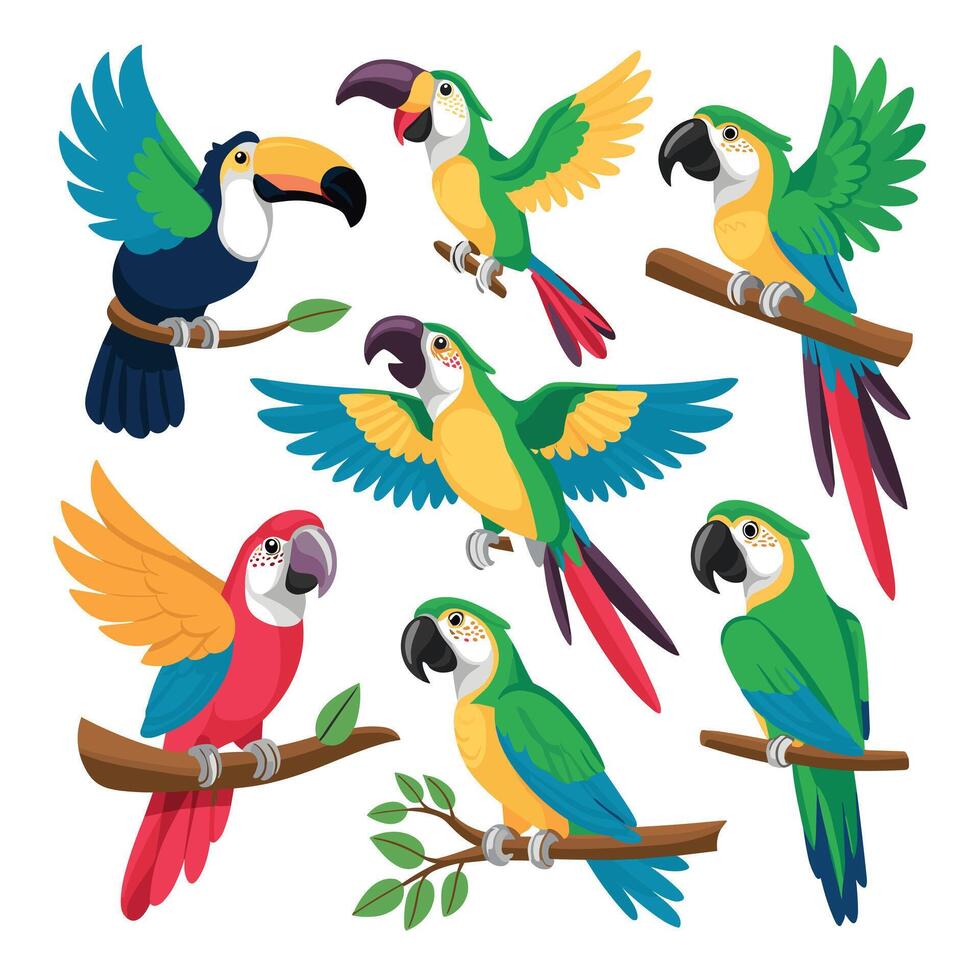 Set of Cute Parrot cartoon collection, isolated on white background vector