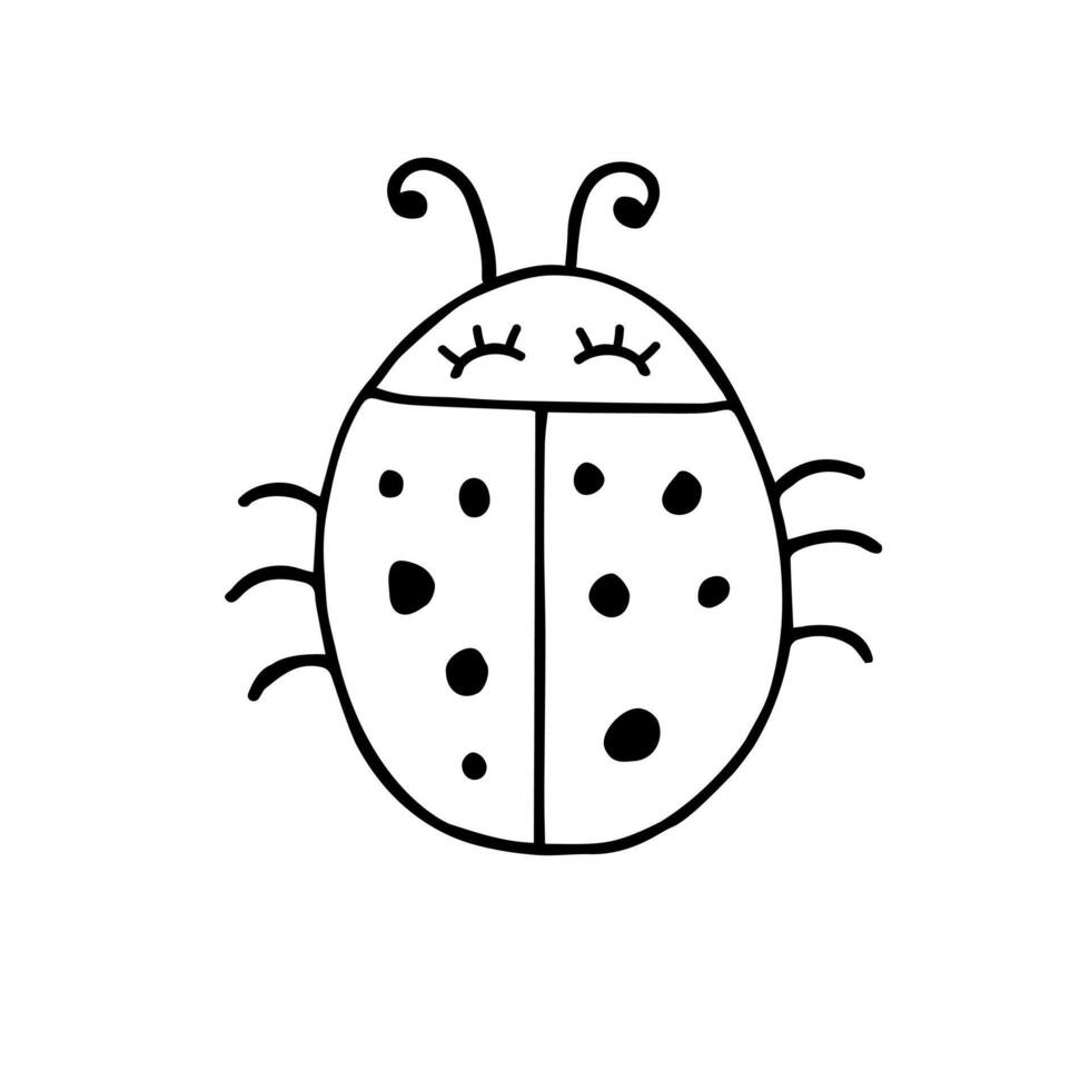 Hand drawn doodle sketch ladybug vector