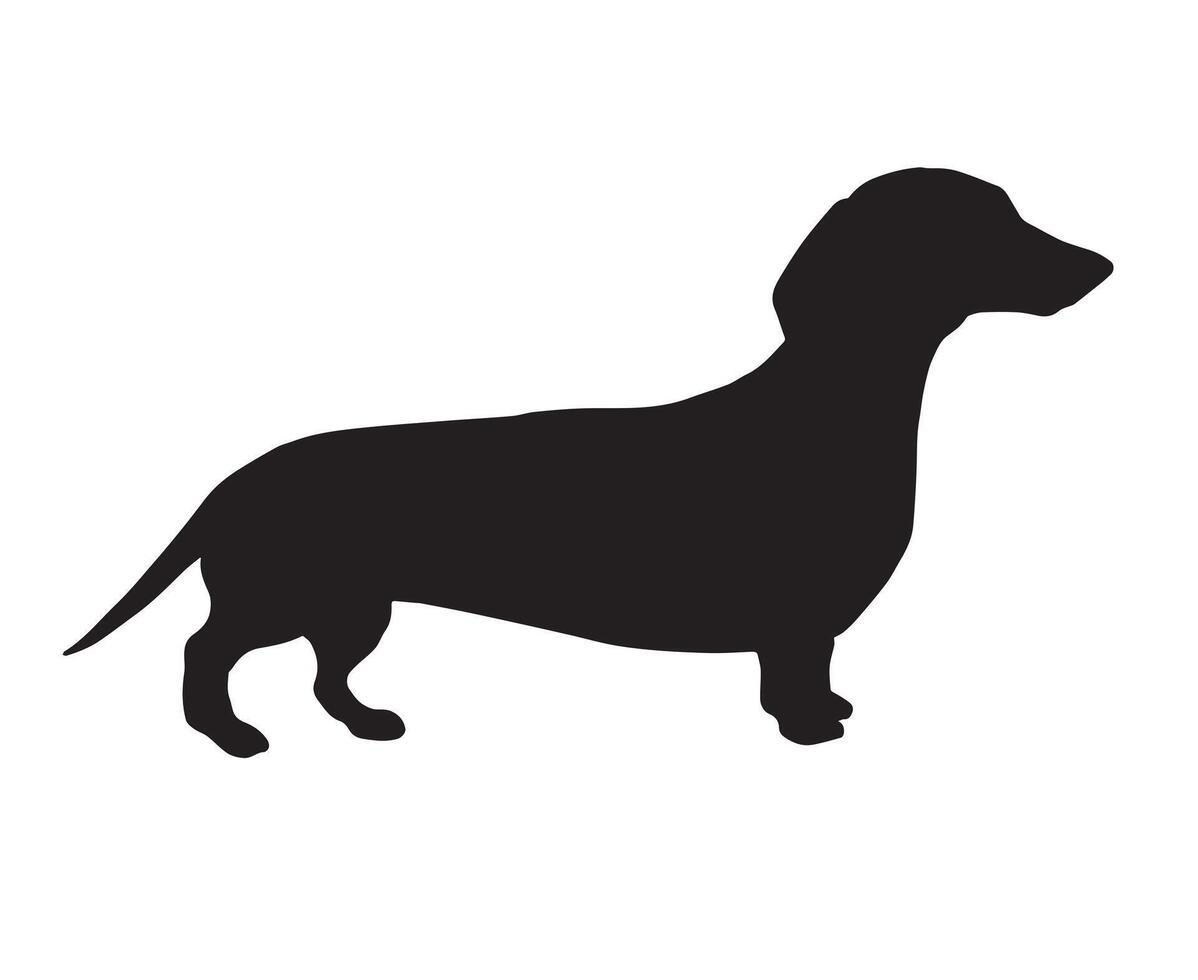 hand drawn dachshund silhouette vector
