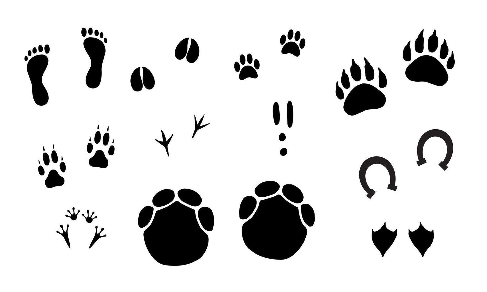 Set of different animals foot print vector
