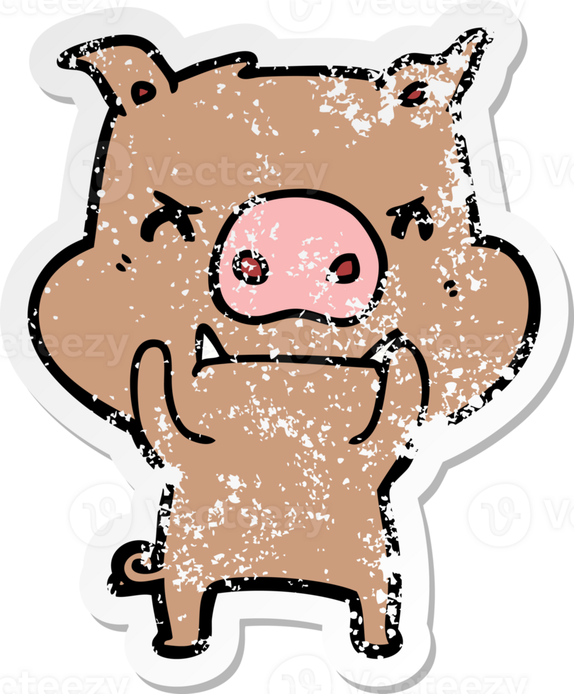 distressed sticker of a angry cartoon pig png