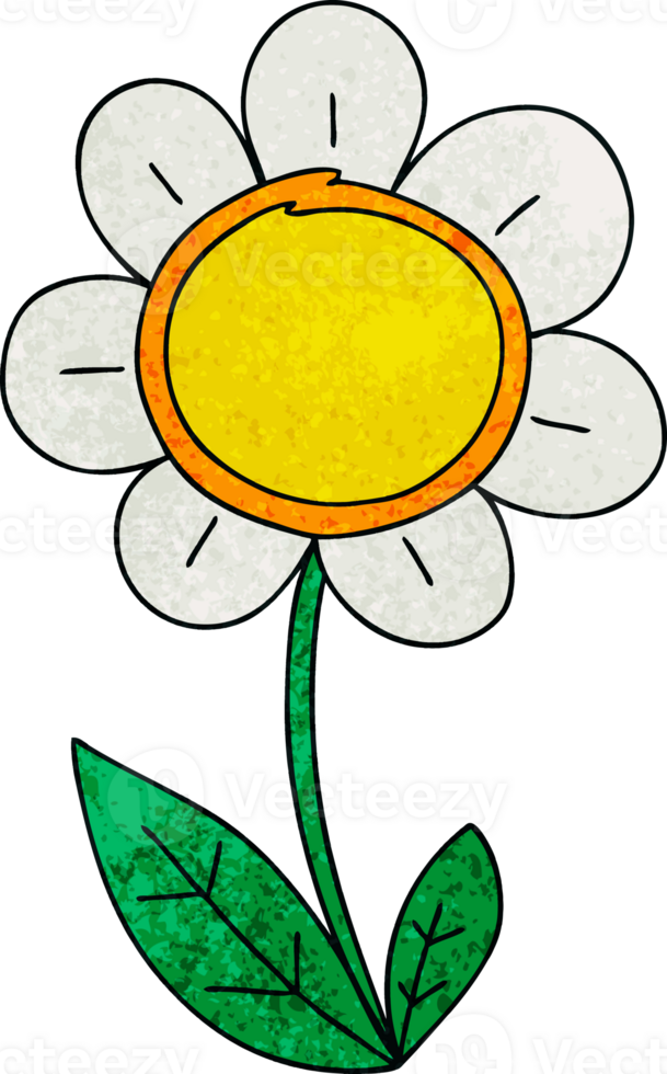 hand drawn quirky cartoon daisy png
