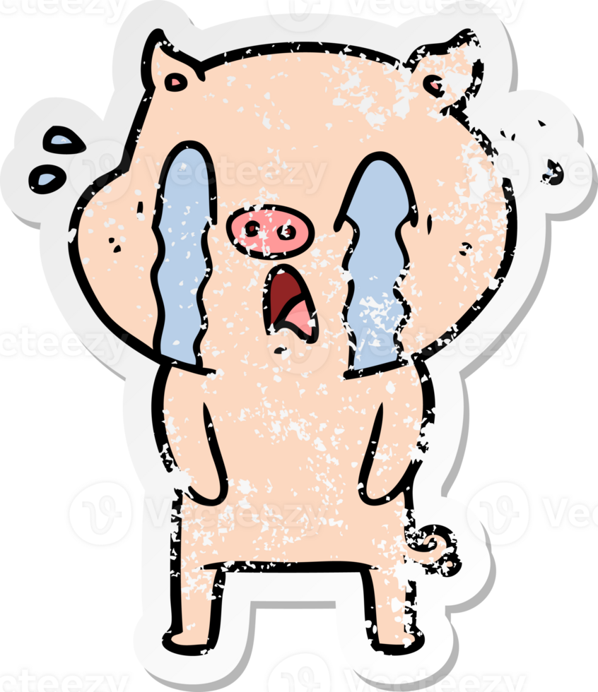 distressed sticker of a crying pig cartoon png