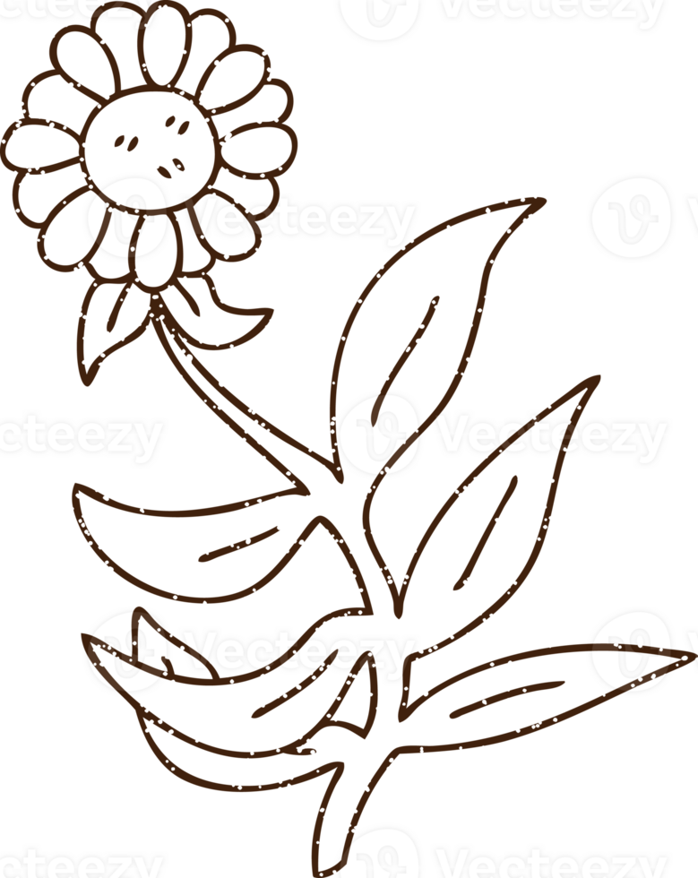 Happy Flower Charcoal Drawing png