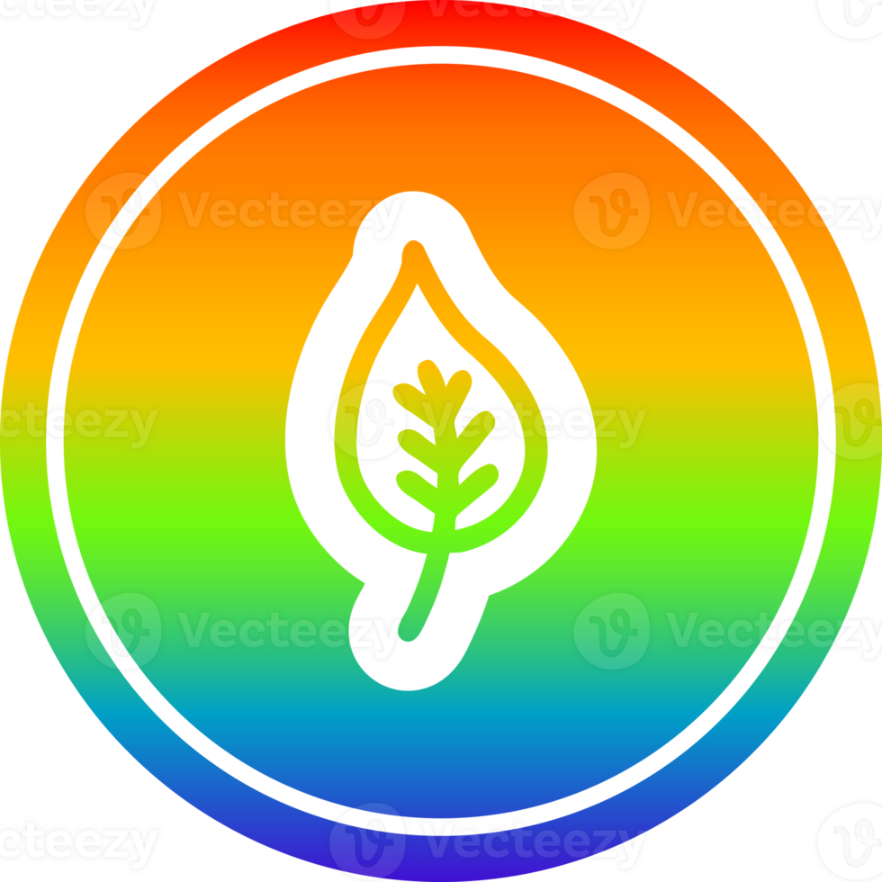 natural leaf circular icon with rainbow gradient finish png