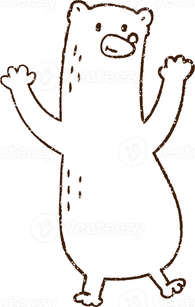 Bear Charcoal Drawing png
