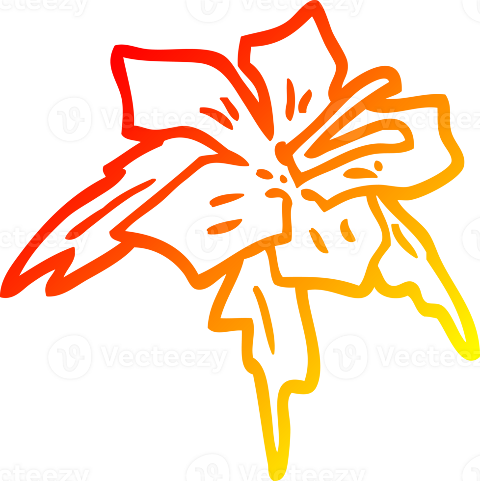 warm gradient line drawing of a cartoon lilly png