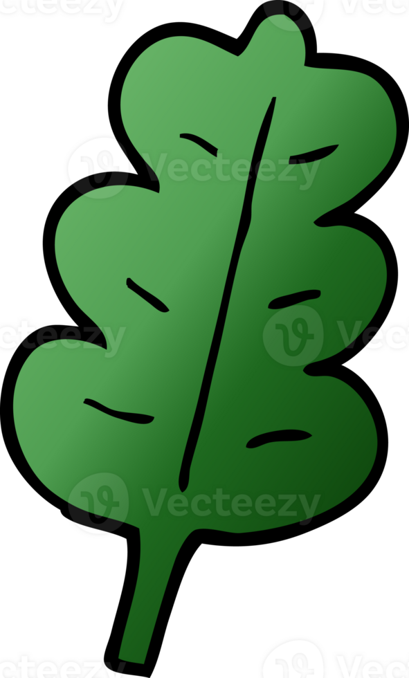 cartoon doodle oak leaf png