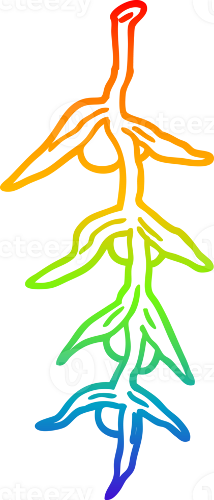 arc en ciel gradient ligne dessin dessin animé plante png