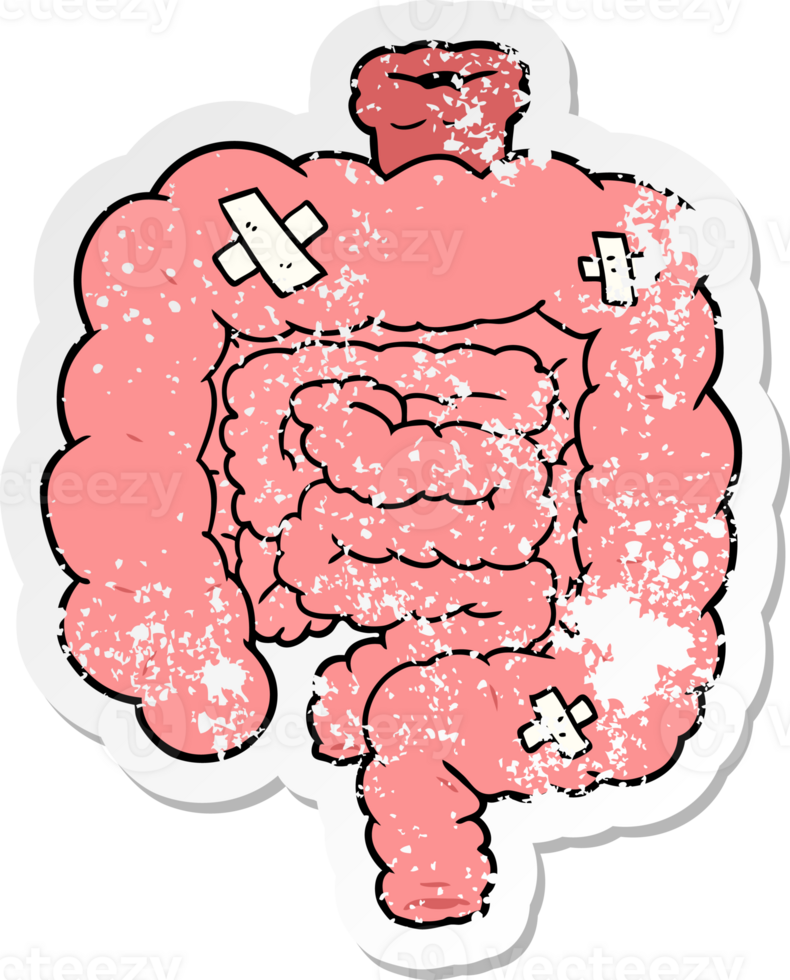 distressed sticker of a cartoon repaired intestines png
