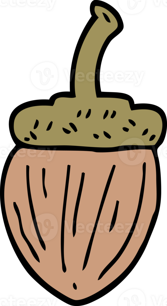 cartoon doodle acorn png
