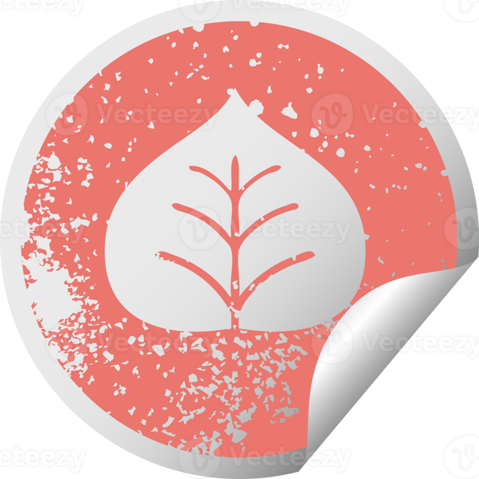 distressed circular peeling sticker symbol of a autumn leaf png