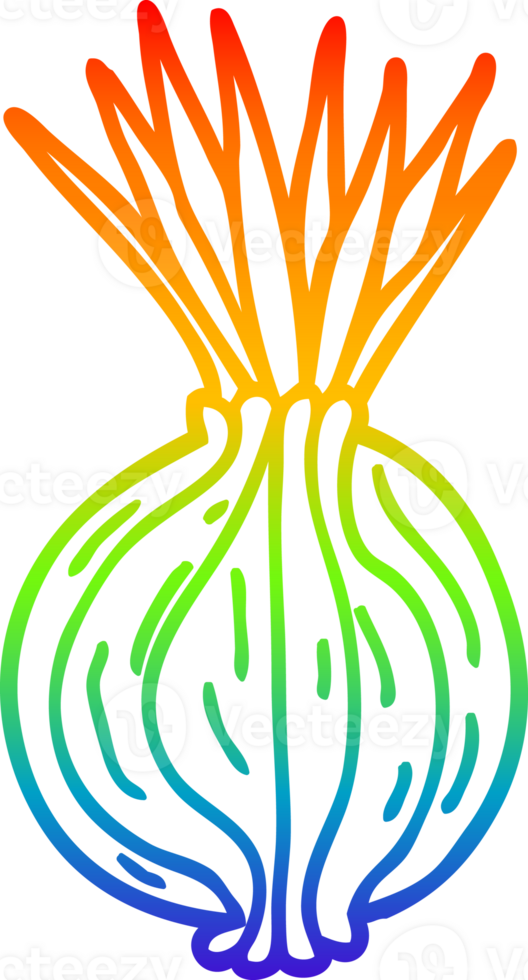 rainbow gradient line drawing cartoon sprouting onion png