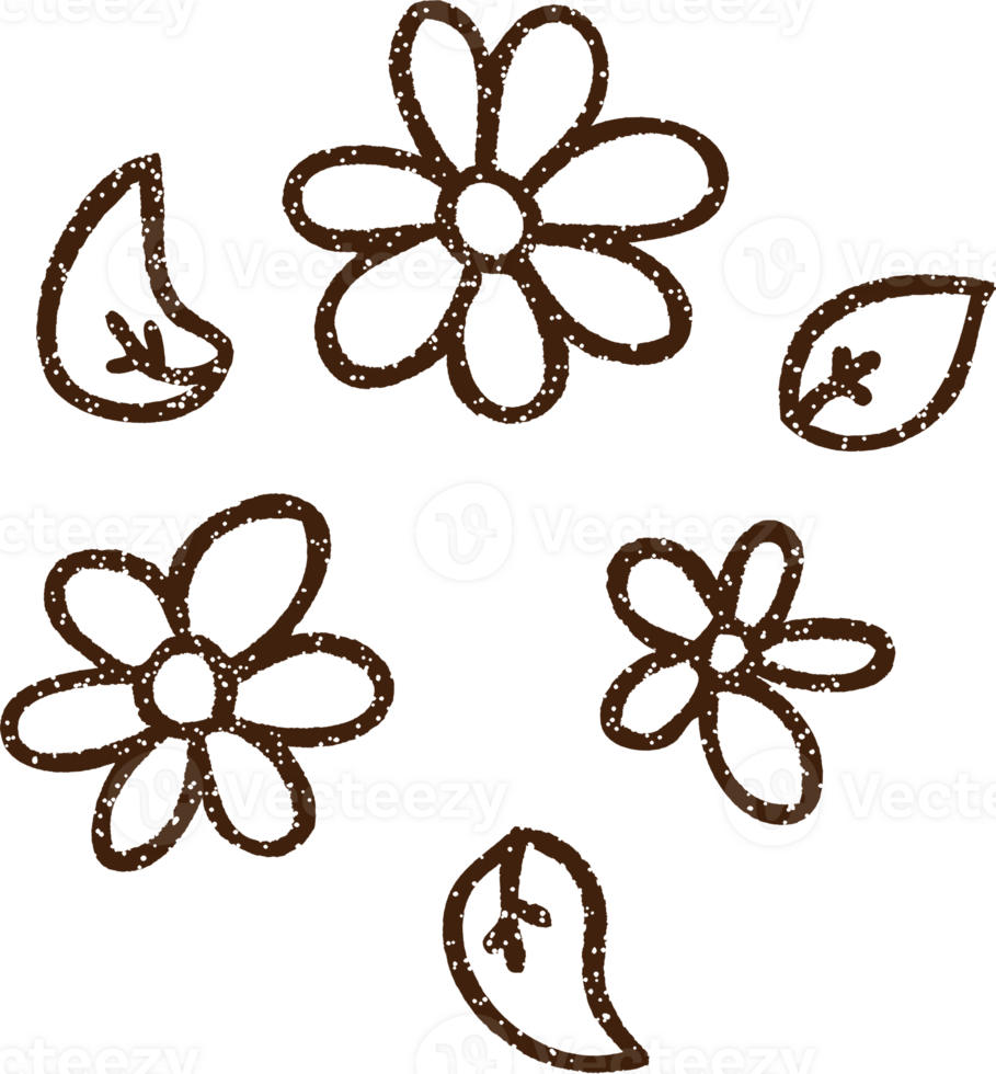 Flowers Charcoal Drawing png