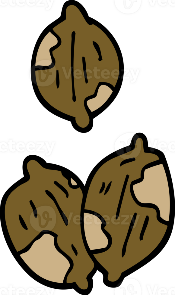 cartoon doodle nuts in shells png