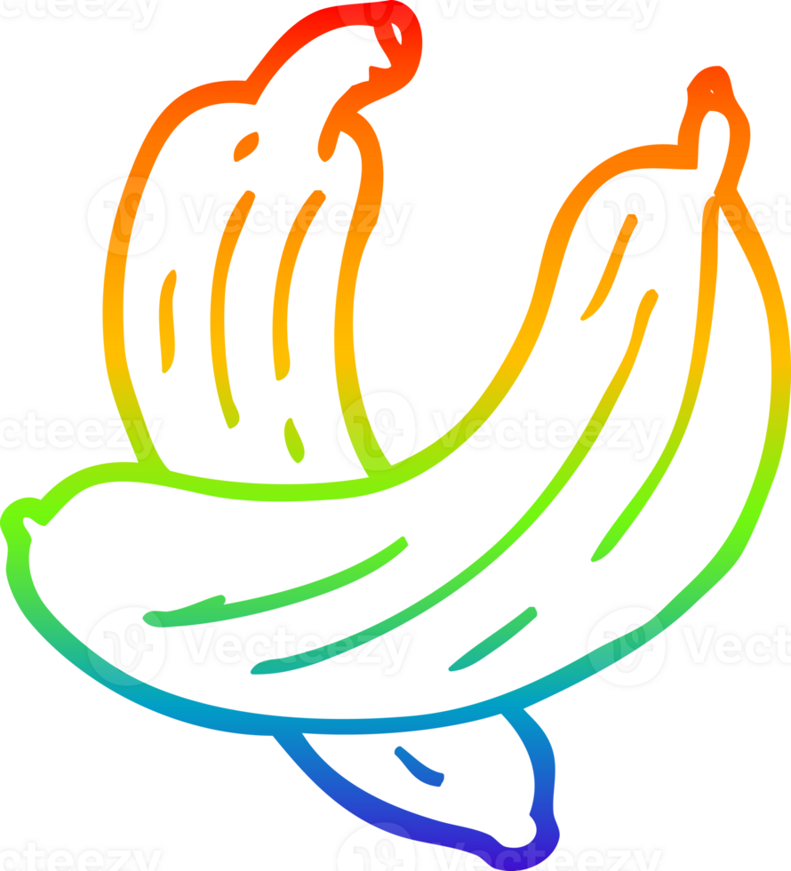 rainbow gradient line drawing of a cartoon cucumber plant png