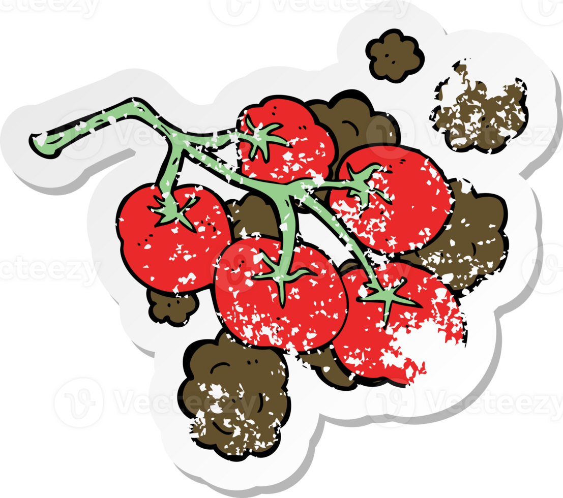 retro distressed sticker of a green tomatoes on vine illustration png